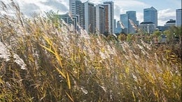 Bow Creek Ecology Park