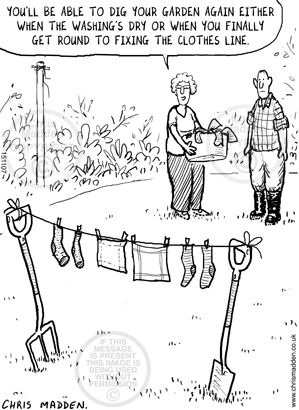 Cartoon